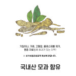 기관지에 기침가래에 좋은음식 목가래약 목편한세상 : 그다이마잇
