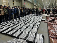 목포 먹갈치 가정용 선물용 손질 산지직송 : 수산한 청년