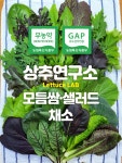 상추연구소 무농약 친환경 모둠쌈샐러드채소 12종 내외 : 상추연구소X농유피