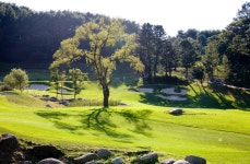 강원도 횡성 웰리힐리cc 1박2일 골프 예약 요금 히든힐스 패키지 : GIANTGOLF
