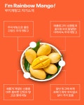 한가득팜 항공직송 태국 마하차녹 무지개망고 : 솔루션365