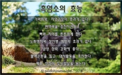 민우 흑염소 진액(하얀민들레+우슬+흑염소 외 8가지 약재) 100ml × 50포 : 하얀민들레건강원