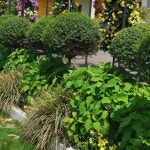 천장스프링쿨러 간이스프링클러 천정 주말농장물주기 밭에 미니 텃밭 : 세모물상점