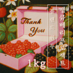 맛있는 원두 커피 땡큐 베리 프로젝트 1kg : 일산커피공장