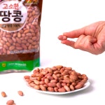 대성농협 2024 햇땅콩 생땅콩 생알땅콩 1kg : 고창 마켓