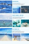 캔디여행사 [부산출발] 세부 보홀 3박5일 패키지여행 매일출발 : 캔디투어
