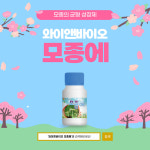 와이앤바이오 모종에(100mL) 모종영양제 친환경비료 식물영양제 : 텃밭다나와
