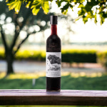 커피팩토리 콜드브루 원액 코스타리카 500ml 더치커피 콜드블루 : 루후공식스토어