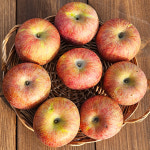 백호상단 부사사과 가정용 청송 꿀사과 선물용 경북 문경 햇 주스용 사과 : 백호 상단