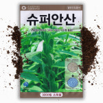 슈퍼 안산 참깨씨앗 3000립 가지깨 참깨 씨 종자 : 씨앗팜