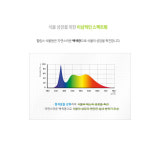 필립스 LED식물등 PAR30 스팟 가정용 식물조명 10W 5000K : 스트롱램프