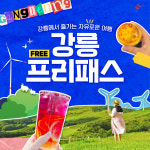 강릉프리패스 강릉또강릉 투어 자유이용권 여행 체험 양떼목장 유람선 서핑 케이블카 입장권 : 강릉또강릉 자유이용권