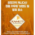 카무트발효효소 30포x2통 카뮤트효소 역가수치 : 동행몰