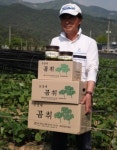 무농약 곰취 나물 제철 봄나물 1kg 산지직송 생 곰취 : 산들자연