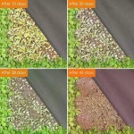 텃밭 정원 잡초 방지 매트 제초매트 폴리프로필렌 그라운드 커버 주말농장 : 파란파란