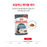 로얄캐닌 헤어볼 케어 그레이비 파우치 85g 고양이 습식 사료 : 신묘한냥이