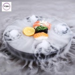 사시미 접시 횟집 스시 플레이팅 드라이아이스 : 직구컴퍼니스토어