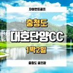 충청도 1박2일골프 대호단양cc 3인ok : 자이언트 골프