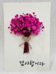프리저브드 캘리그라피 엽서kit : 마음톡씨앗