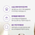 강아지바디티슈 발티슈 물티슈 샤워 손발똥꼬크린 : 스몰초이스
