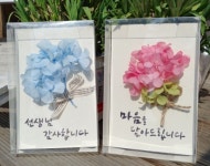 프리저브드 캘리그라피 엽서kit : 마음톡씨앗