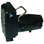 Barnes 반스 134678 모델 BT50 이송펌프 12마력 120V 1상 34 GHT 수직배출 120 헤드 매뉴얼 : W G E N T