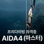 AIDA4(마스터) : 제주 난바다프리다이브