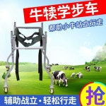 가축 스탠딩 지지대 기립대 송아지 고정 수의학 재활 소 입석(속달) : 감각한스푼