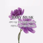 베르블랑 아토피협회 인증 아기세제, 섬유유연제 리필 1+1 : 베르블랑 VERTBLANC