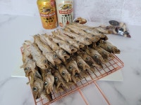 줄노가리 (1줄) / 40마리 건노가리 : 안양건해물산