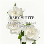 [4+1] 베르블랑 중성 아기세제 1L X 4개 + 증정(실버에디션 2팩) : 베르블랑 VERTBLANC
