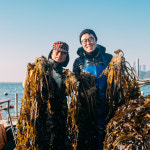 기장 산모미역 선물세트 숙성미역 200g×6봉 : 기장물산