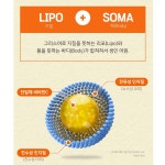 리포조말 비타민C 체내흡수율 높은 리포좀 비타민씨 비타민D 2통 : 리치부엉이