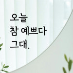 오늘참예쁘다그대 감성문구 레터링 스티커 좋은글귀 현관문 매장 카페 데코 스티커 시트지 : 디자인황소