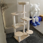 파파펫 : PAPA PET