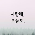 사랑해오늘도 감성문구 명언 레터링 스티커 좋은글귀 현관문 매장 카페 데코 스티커 시트지 : 디자인황소