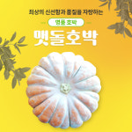 맷돌호박 3kg 이내 국내산 늙은호박 : 참샘골호박농원