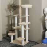 파파펫 : PAPA PET