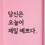 당신은오늘이제일예쁘다 감성문구 레터링 스티커 좋은글귀 현관문 매장 카페 데코 스티커 시트지 : 디자인황소