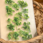 tiny farm sticker / 작은 농장 씰스티커 (1 sheet) : 자그네