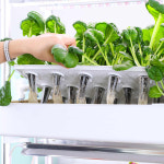 수경 재배기 상추 가정용 식물재배기 재배 야채 키우기 실내 스마트팜 채소 : NKN