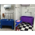 애견 목욕통 플라스틱 욕조 대형 애견샵 미용실 목욕 보라색 : 올리브직구