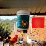 닭 사료 자동급식기 공급기 농장 모이 타이머 먹이 오리 : 엑시스토어1