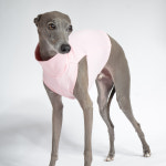 막스플레이 UV ATB 썸머 크롭탑 나시 베이비핑크 자외선차단 이탈리안그레이하운드 아이쥐옷 : MARX PLAY