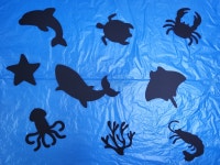 바다생물 그림자 실루엣/아쿠아리움 실루엣/물고기 빛과 그림자 놀이/어린이집 여름 환경구성 : 자밍