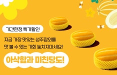달콤달달 공품 10KG : 빈이네 참외농장