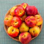 신비복숭아 천도 신선 복숭아 농장 햇복숭아 제철 경산 김천 백도 황도 : 합리적 쇼핑몰