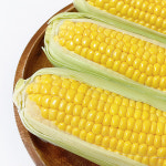 산지직송 24년 햇 초당옥수수 생 옥수수 : 문현상회 1987