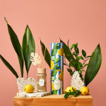 썸머파라다이스 니스 베르가못레몬 180ml AR0324028 : 2001분당점 모던하우스