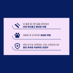 이즈칸 펫살롱 볼륨 슬리커 M 강아지 고양이 브러쉬 : 신묘한냥이